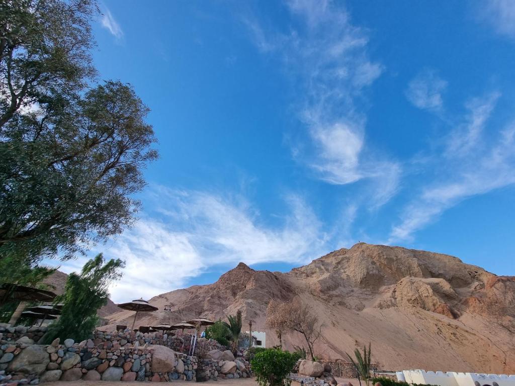 THE BEDOUIN MOON